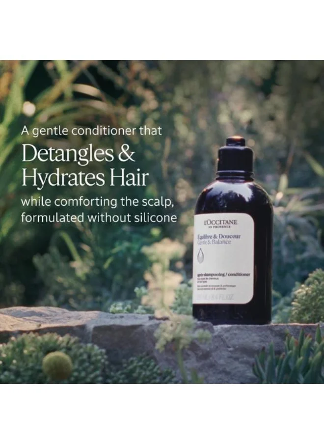لوكسيتان L'Occitane Gentle & Balance Conditioner 500ml