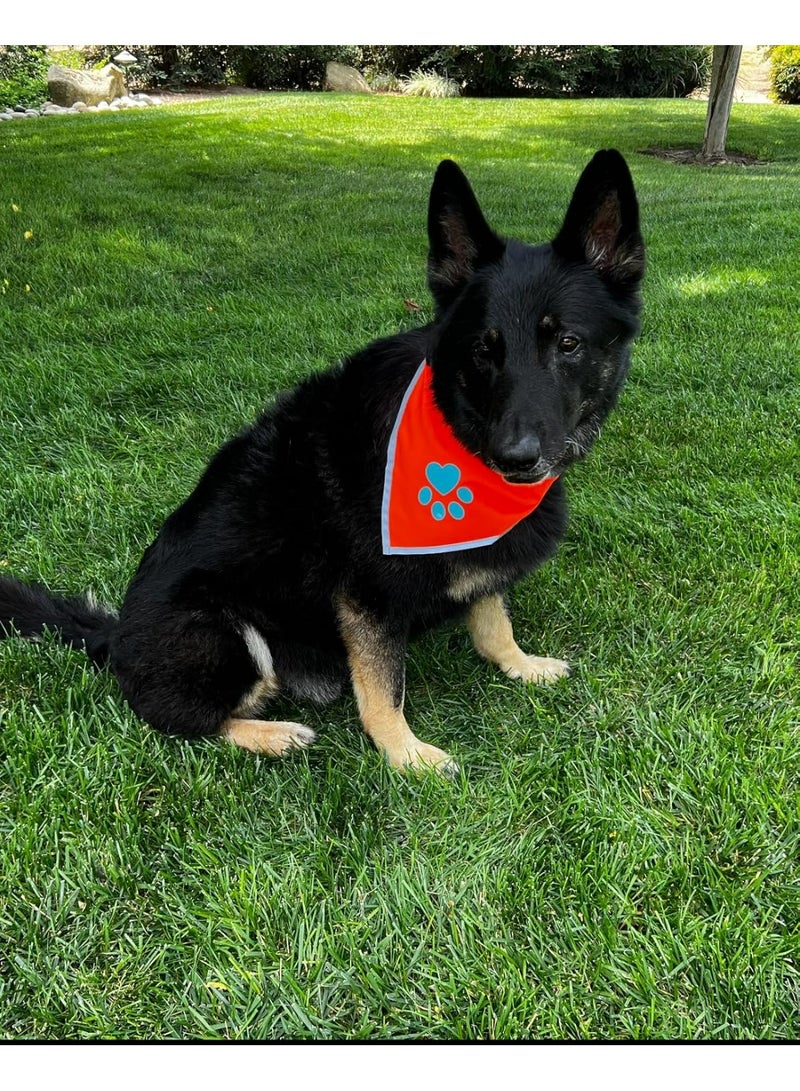 وشاح رأس كلب بطبعة مخلب، برتقالي متوهج، مع حواف عاكسة، صغير/متوسط - Image 2