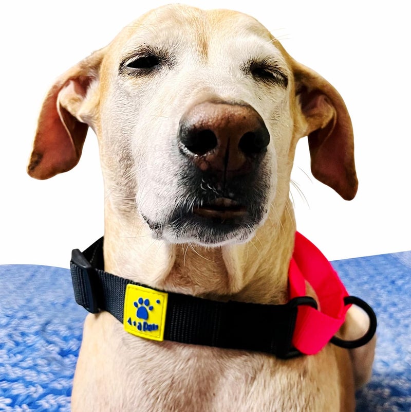 A+a Pets Martingale Dog Collar | No Pull Design, No Neck Strain, No Choke Design | for Large & Medium Dogs | Rust Free, Waterproof Nylon Training Collar (Black & Pink), 30 x 2.5 cm - Image 3