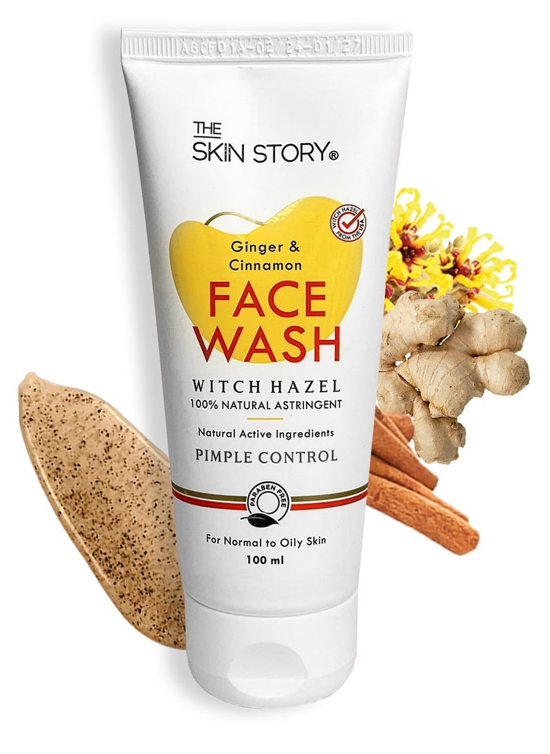 Skin Story Clean Beauty The Skin Story Ginger Cinnamon Face Wash Removes Pimple Germs Reduces Dark Spots and Minimizes Pores  - Image 1
