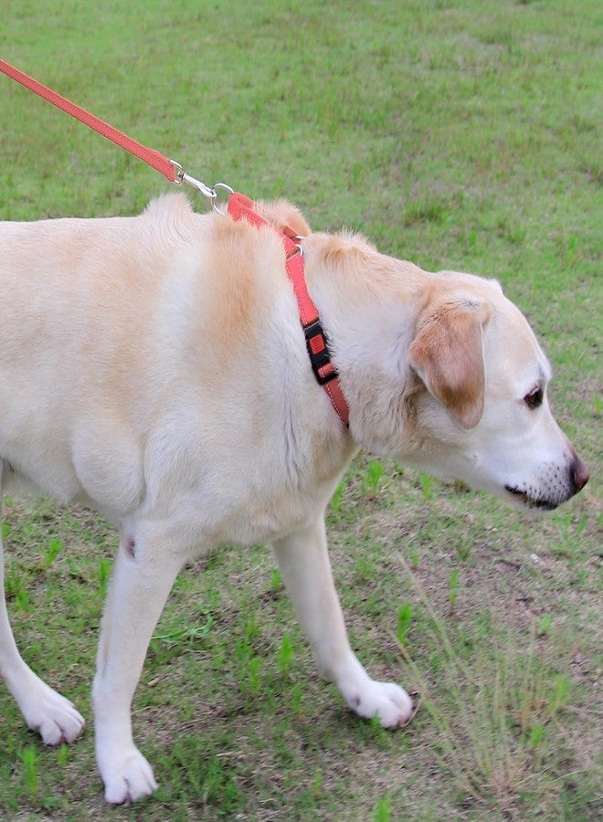 جويتيل طوق مارتينجال من جويتال للكلاب، عاكس للضوء ومتين للغاية لضمان السلامة، مزود بإبزيم سريع الفتح، طوق نايلون قابل للتعديل للكلاب متوسطة الحجم أثناء المشي والتدريب، لون وردي نيون، مقاس متوسط - Image 4