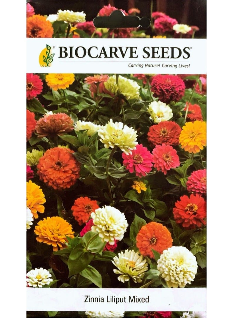 BIOCARVE SEEDS BIOCARVE Zinnia Lilliput Mix Seeds