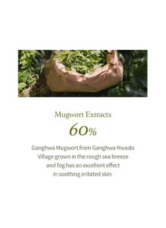 I'M FROM I'm from Mugwort Gel Cleanser 150 ml, Mugwort Extract 60%, Korean Cleanser, Natural, Herbal, Calming, Soothing, Micro Cleansing  - Image 3