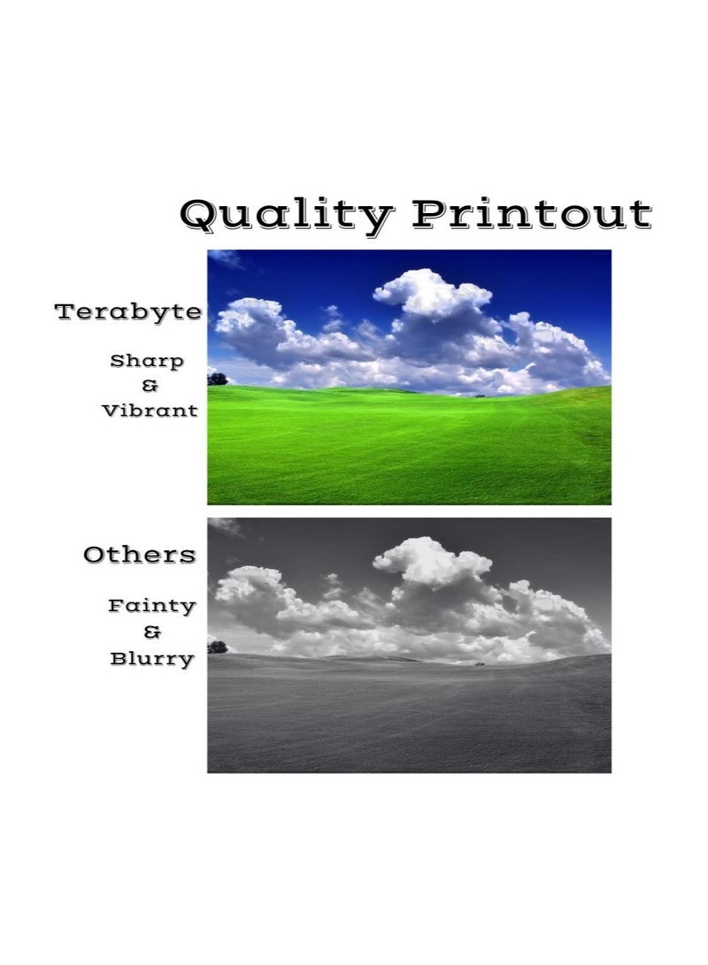 تيرابايت خرطوشة حبر متوافقة مع CF244A 44A للاستخدام مع طابعات LaserJet Pro M15a M15w MFP M28a M28w باللون الأسود - Image 2