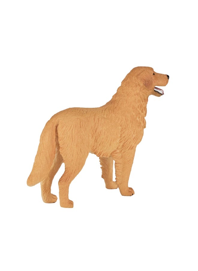 Mojo Golden Retriever-M - Image 3