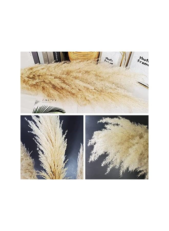 Arabest - Large Pampas Grass 120Cm 5 Stems Jumbo Extra Fluffy Plumes Pampas Grass Natural Dried Tall Pampas For Flower Arrangements Wedding Pampas Boho Decor Floral Arrangements Room Decor Beige - Image 1