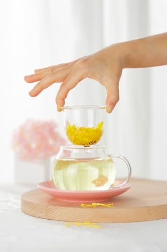 Rain House Mushroom Tea Cup Set, Cute Glass Tea Cups and Saucers, Kawaii Tea Cup with Infuser for Loose Leaf Tea Steeper, Coffee Mug Christmas Gifts for Women,Tea Infuser Mug with Lid for Mother Girls (Blue) - Image 3