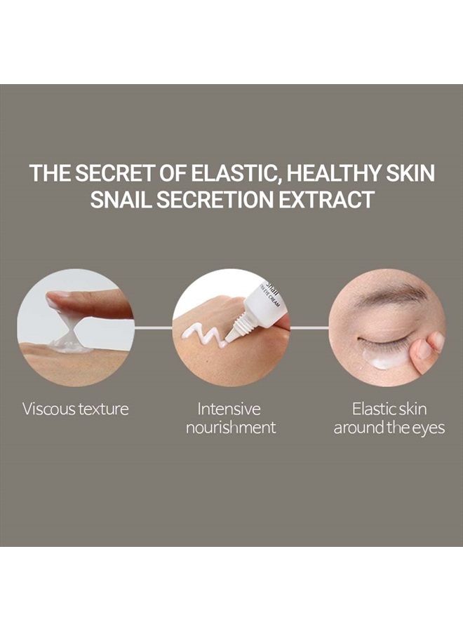 SCINIC Snail Matrix Eye Cream 1.01 fl oz (30ml) | Moisturizing and Intensive Care Eye Cream with Snail Mucus | Moist & Tight Skin, Nourishing Elasticity | Korean Skincare - Image 4
