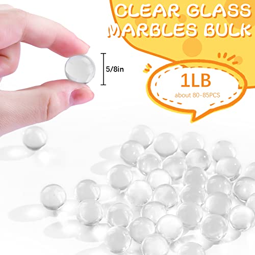 FUTUREPLUSX Clear Glass Marbles, 1LB Round Marble Beads Transparent Vase Fillers Decorative Glass Gem Pebbles for Decoration Collectibles Marble Games - Image 2