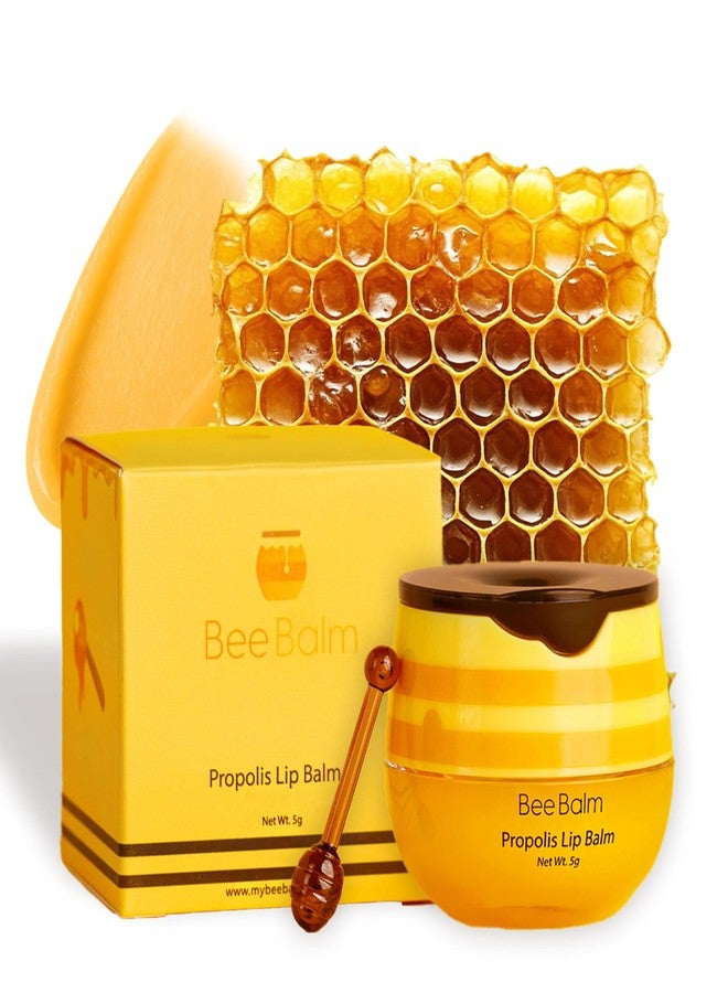 Bee Balm Original My Bee Balm Lip Balm – Propolis Hydrating Balm – Honey Pot for Dry, Chapped & Cracked Lips – Deeply Moisturizes & Hydrates Lips with Organic Beeswax & Vitamin E - Image 1
