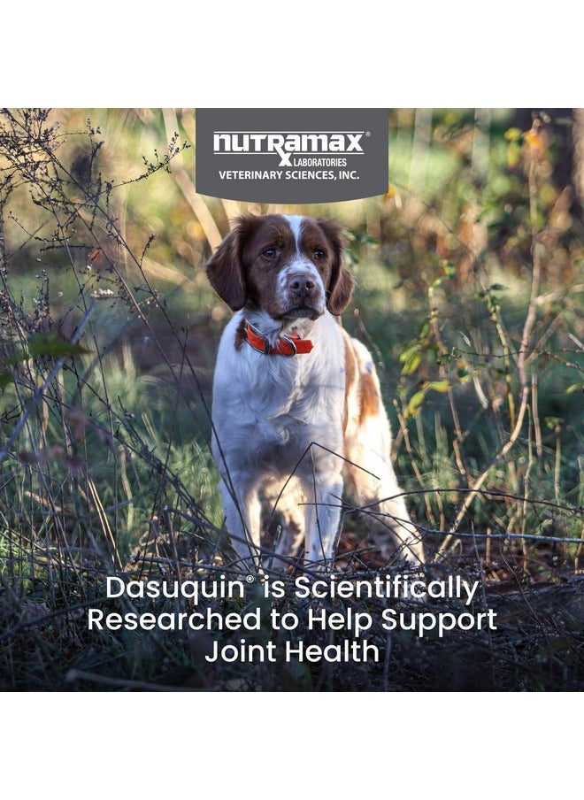 Nutramax Laboratories Nutramax Laboratories Dasuquin with MSM Joint Health Supplement for Small to Medium Dogs - With Glucosamine, MSM, Chondroitin, ASU, Boswellia Serrata Extract, and Green Tea Extract, 84 Soft Chews  - Image 2