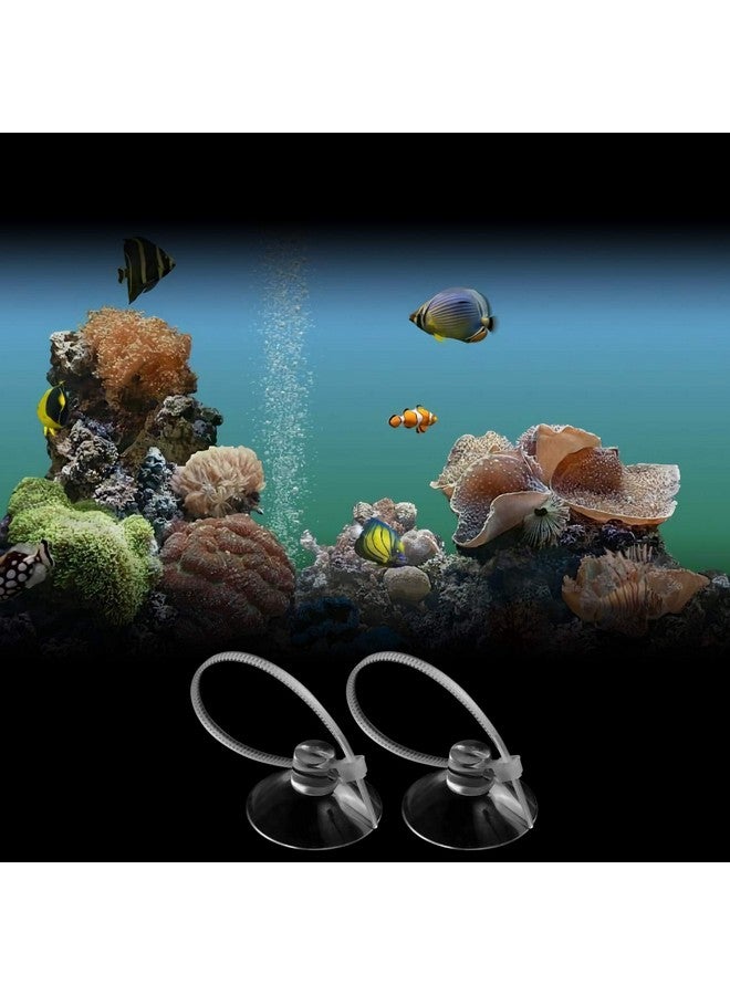 FEBSNOW FEBSNOW Aquarium Suction Cups, Fish Tank Suction Cups Aquarium Suction Cup Clip Suction Hooks with 30 PCS Adjustable Cable Ties for Plants, Planter, Binding Moss Shrimp Nest (10)  - Image 5