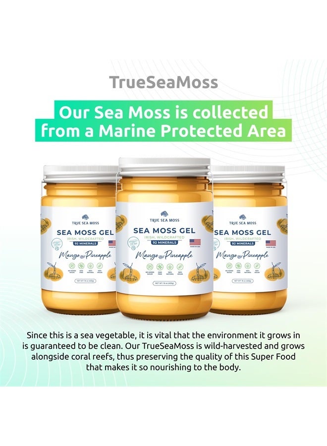 True Sea Moss Wildcrafted Irish Sea Moss Gel –7 Flavors- Nutritious Raw Seamoss Rich in Minerals, Proteins & Vitamins – Antioxidant Health Sea Moss, Vegan Made in USA (MANGO/PINEAPPLE, 1)  - Image 4