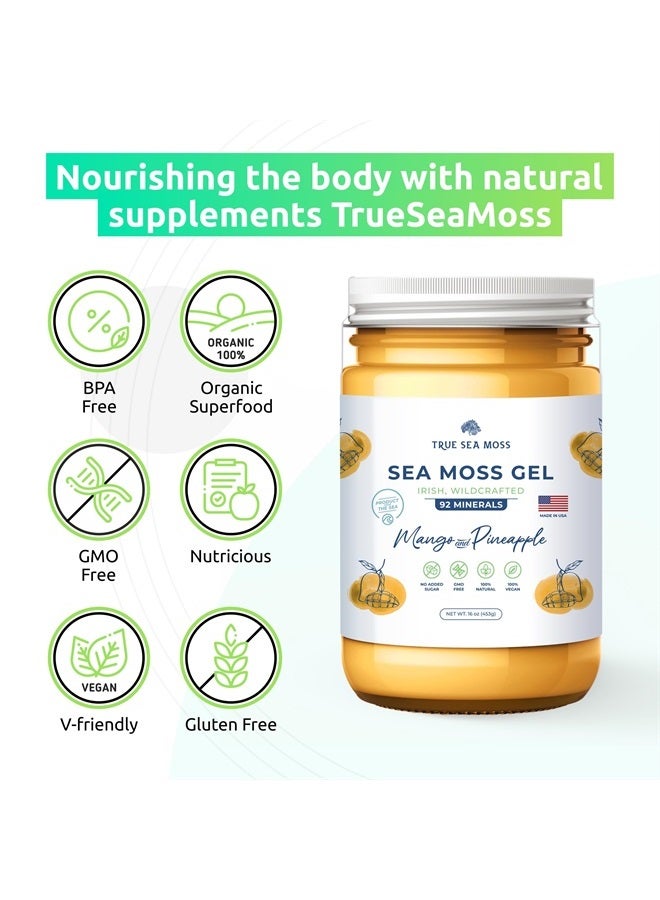 True Sea Moss Wildcrafted Irish Sea Moss Gel –7 Flavors- Nutritious Raw Seamoss Rich in Minerals, Proteins & Vitamins – Antioxidant Health Sea Moss, Vegan Made in USA (MANGO/PINEAPPLE, 1)  - Image 2