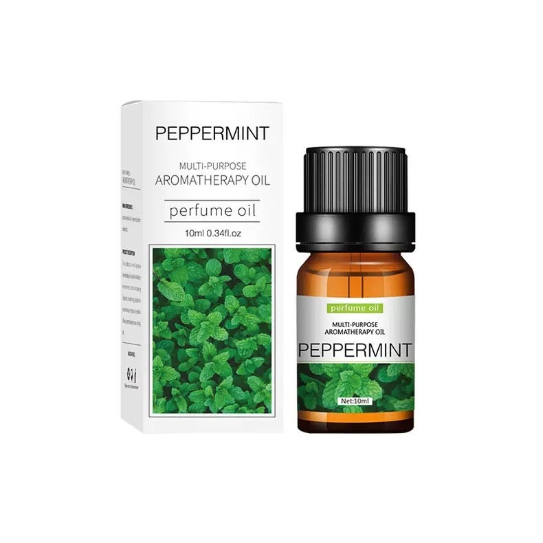 زيت اللافندر العطري القابل للذوبان في الماء 10 مل زيت عطر اللافندر للعلاج بالروائح - Image 1