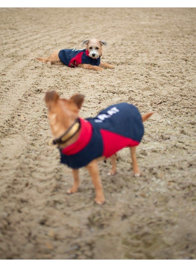 Ariat Team Softshell Dog Jacket - Insulated, Water Repellant Pet Coat - Image 2