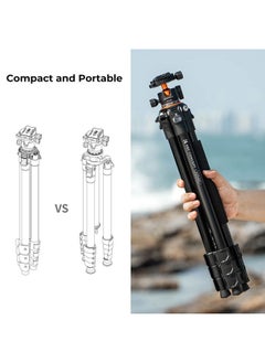 K&F Concept 62''/160cm Camera Tripod,Lightweight and Compact Super Portable Aluminum DSLR Tripod10KG Load Capacity Ball Head,Quick Release Plate for Travel and Work A234A1  - Image 3