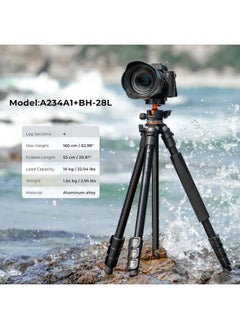 K&F Concept 62''/160cm Camera Tripod,Lightweight and Compact Super Portable Aluminum DSLR Tripod10KG Load Capacity Ball Head,Quick Release Plate for Travel and Work A234A1  - Image 2