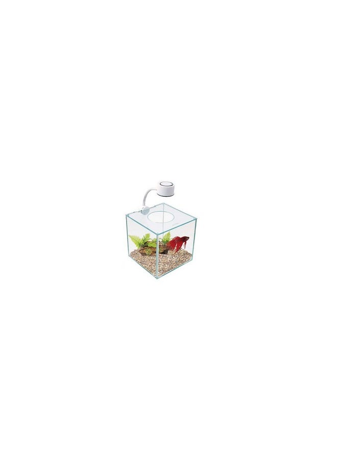 Marina Marina CUBUS Glass Betta Kit - Elegant Glass Aquarium for Homes or Offices  - Image 1