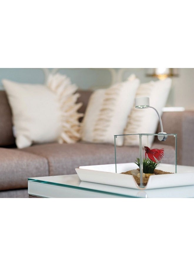 Marina Marina CUBUS Glass Betta Kit - Elegant Glass Aquarium for Homes or Offices  - Image 3