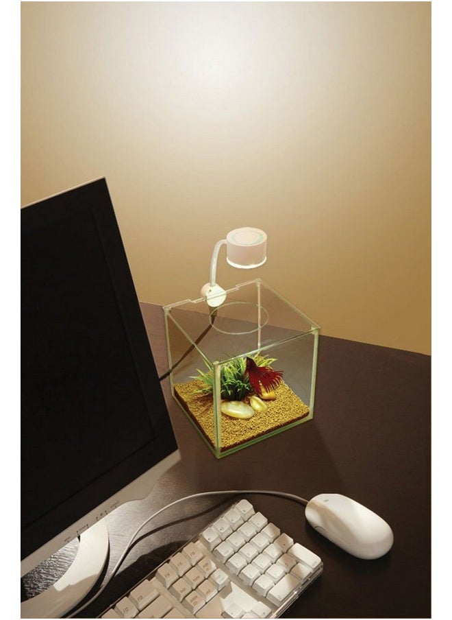Marina Marina CUBUS Glass Betta Kit - Elegant Glass Aquarium for Homes or Offices  - Image 4