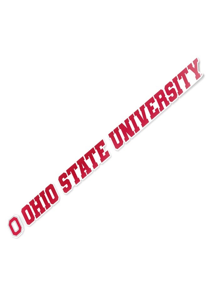Desert Cactus The Ohio State University Sticker Buckeyes OSU Name Logo Vinyl Decal Laptop Water Bottle Car Scrapbook (15 Inch Sticker) - Image 1