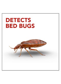 RAID Bed Bug Detector and Trap 8 Counts  - Image 3