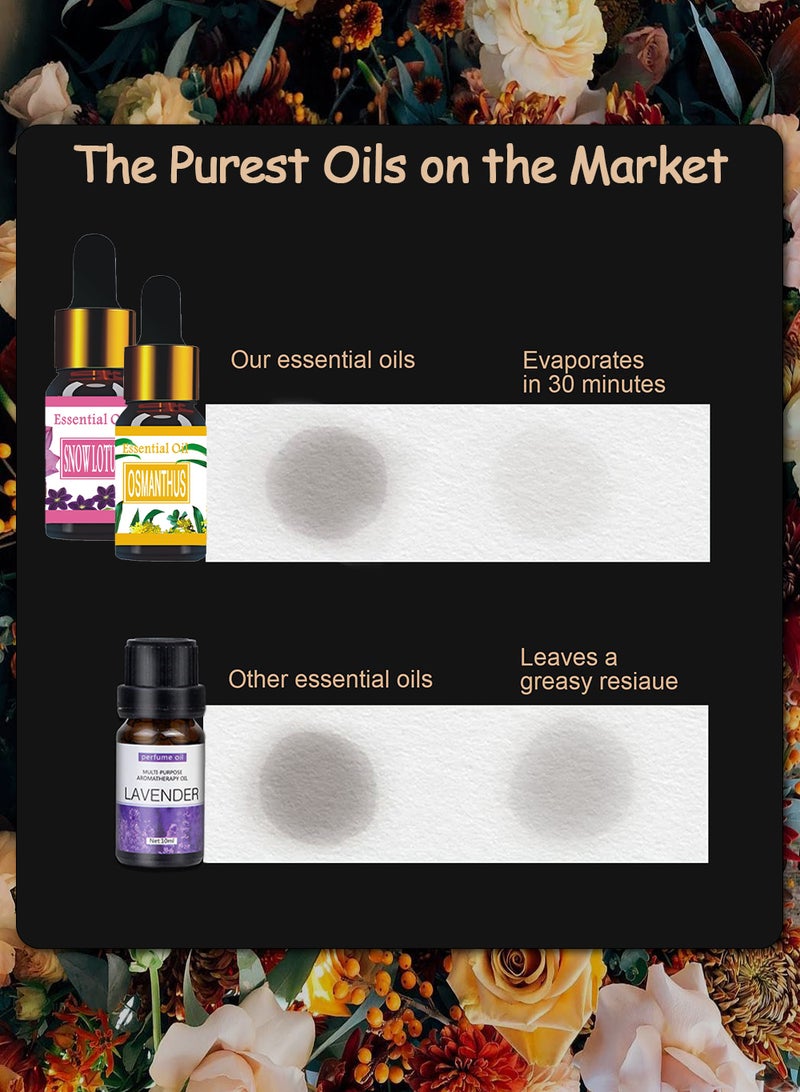 12-Piece Essential Oil Set Clear 10ml  - Image 4