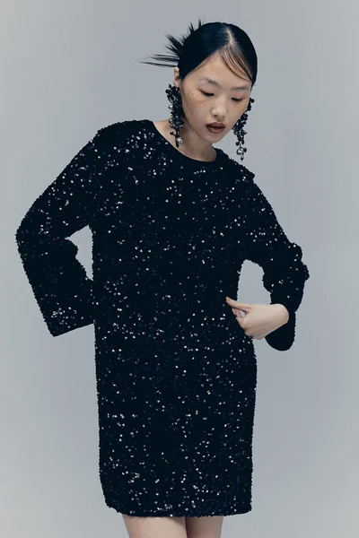 H&M Sequin Embellished Dress