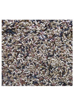 Deli Nature Daily Nature Premium Canary Food 1 Kg  - Image 2