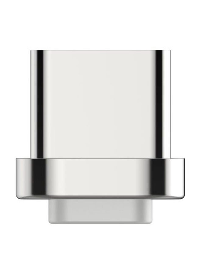 NIBEMINENT Detachable Magnetic Type-C Adapter Silver - Image 1
