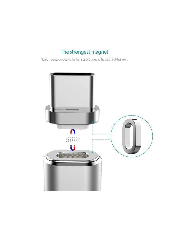 NIBEMINENT Detachable Magnetic Type-C Adapter Silver - Image 2