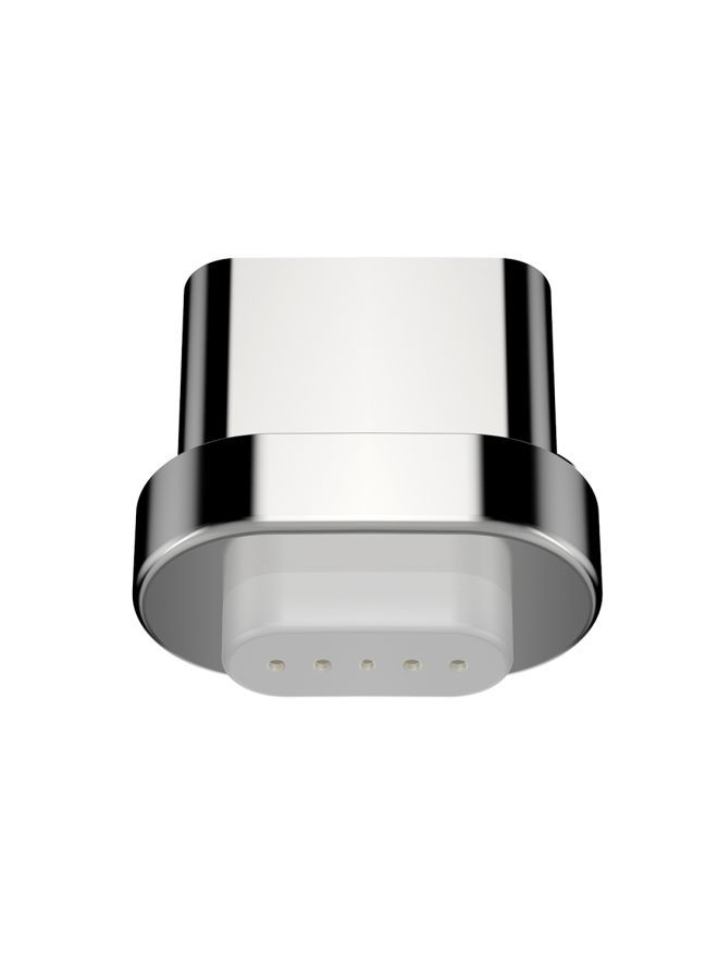 NIBEMINENT Detachable Magnetic Type-C Adapter Silver - Image 5