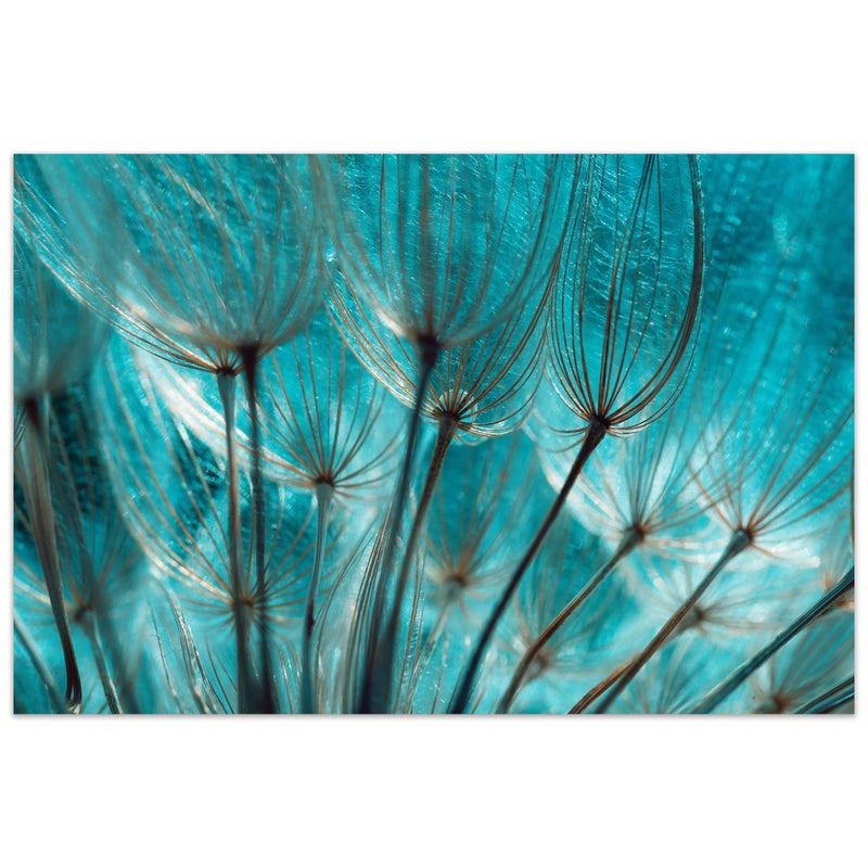 Empire Art Direct Empire Art Direct Frameless Free Floating Tempered Glass Panel Graphic Wall Art Ready to Hang 32 x 48 Turquoise Dandelion 