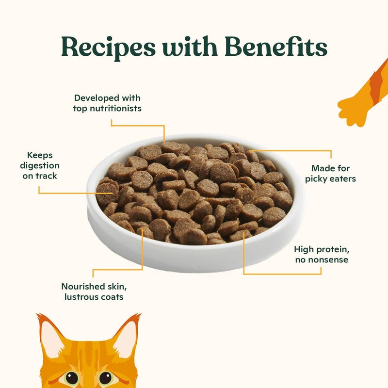 Made by Nacho Kitten Dry Kibble Infused with Bone Broth, Healthy High Protein Cat Food, Cage-Free Chicken and Chicken Liver, 2lb Bag - Image 3