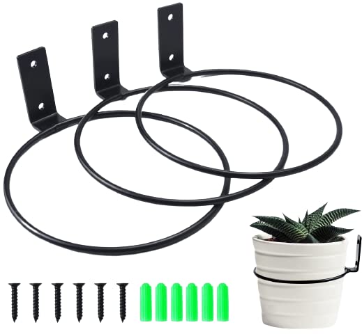 CRAFTIES ART Pack of 6 Wall Mount Flower Pot 10 cm Flower Pot Holder Wall Ring Wall Mounted Plants Plant Holder for Home Garden Balcony Black (Black) - Image 2
