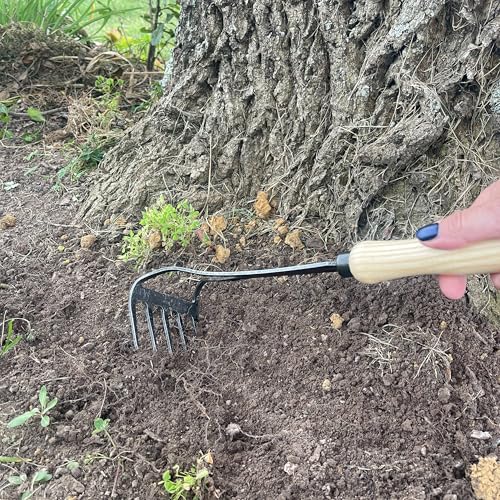 DeWit Bio Hand Rake - Image 3