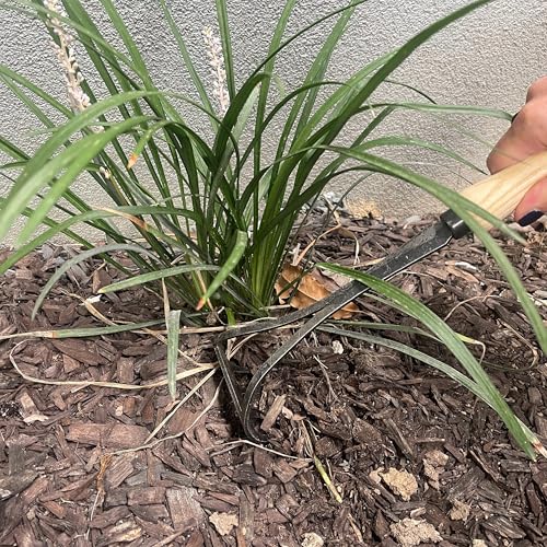 DeWit Bio Hand Rake - Image 5