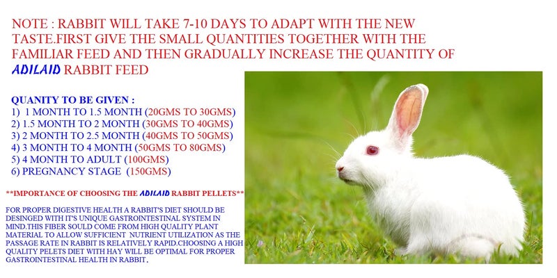 ADILAID Premium Rabbit Parent Feed (800 GMS) - Image 3