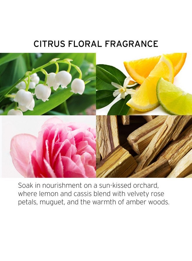 فيكاي قناع Fekkai Technician Color Flash Mask - 5 أونصة - يمنح الشعر حيوية وترطيبًا - خالٍ من الكبريتات والبارابين والفثالات - نباتي وخالٍ من القسوة - Image 1