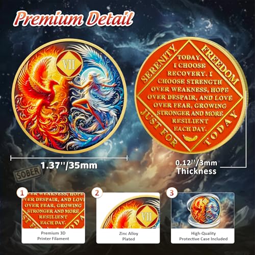 IELCJJ Phoenix Fairy 7 Year Na Medallions - Sun and Moon Sobriety Coin - Seven Year Recovery Addiction Token - Celebrate Clean and Sober Chip - 0-10 Prime Narcotics Anonymous Gifts for Men Women - Image 3