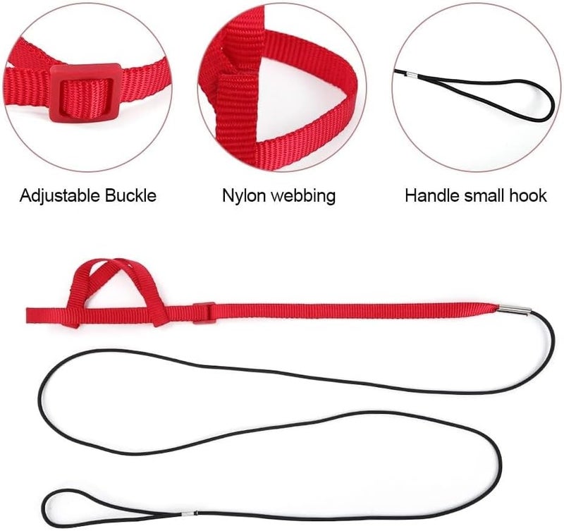 Bukela Pet Bird Leash, Adjustable Parrot Training  Flight Harness Leash, Bird Harness for Outdoor Walking to Carry Birds and Poultry, Suitable for Parrots Alexandrine, Scarlet, Keck, Mini Macaw - Image 3