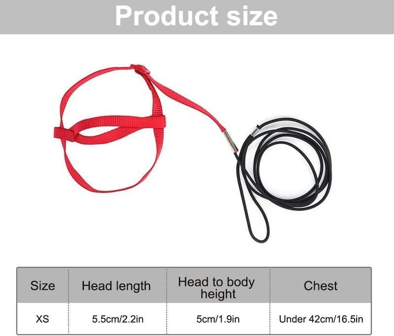 Bukela Pet Bird Leash, Adjustable Parrot Training  Flight Harness Leash, Bird Harness for Outdoor Walking to Carry Birds and Poultry, Suitable for Parrots Alexandrine, Scarlet, Keck, Mini Macaw - Image 4