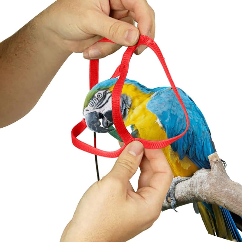 Bukela Pet Bird Leash, Adjustable Parrot Training  Flight Harness Leash, Bird Harness for Outdoor Walking to Carry Birds and Poultry, Suitable for Parrots Alexandrine, Scarlet, Keck, Mini Macaw - Image 5