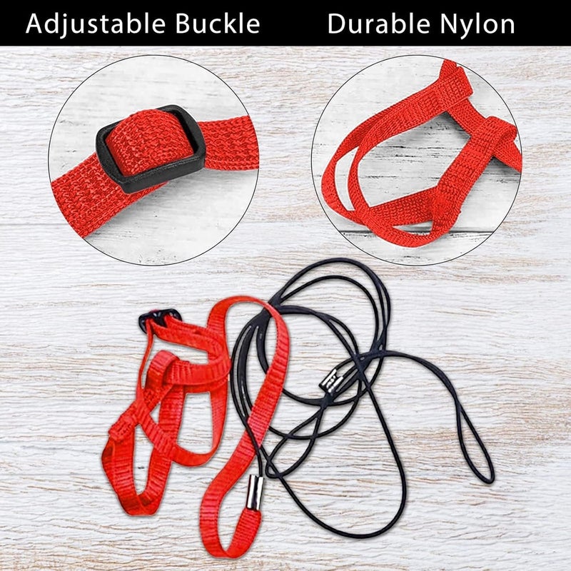 Bukela Pet Bird Leash, Adjustable Parrot Training  Flight Harness Leash, Bird Harness for Outdoor Walking to Carry Birds and Poultry, Suitable for Parrots Alexandrine, Scarlet, Keck, Mini Macaw - Image 2
