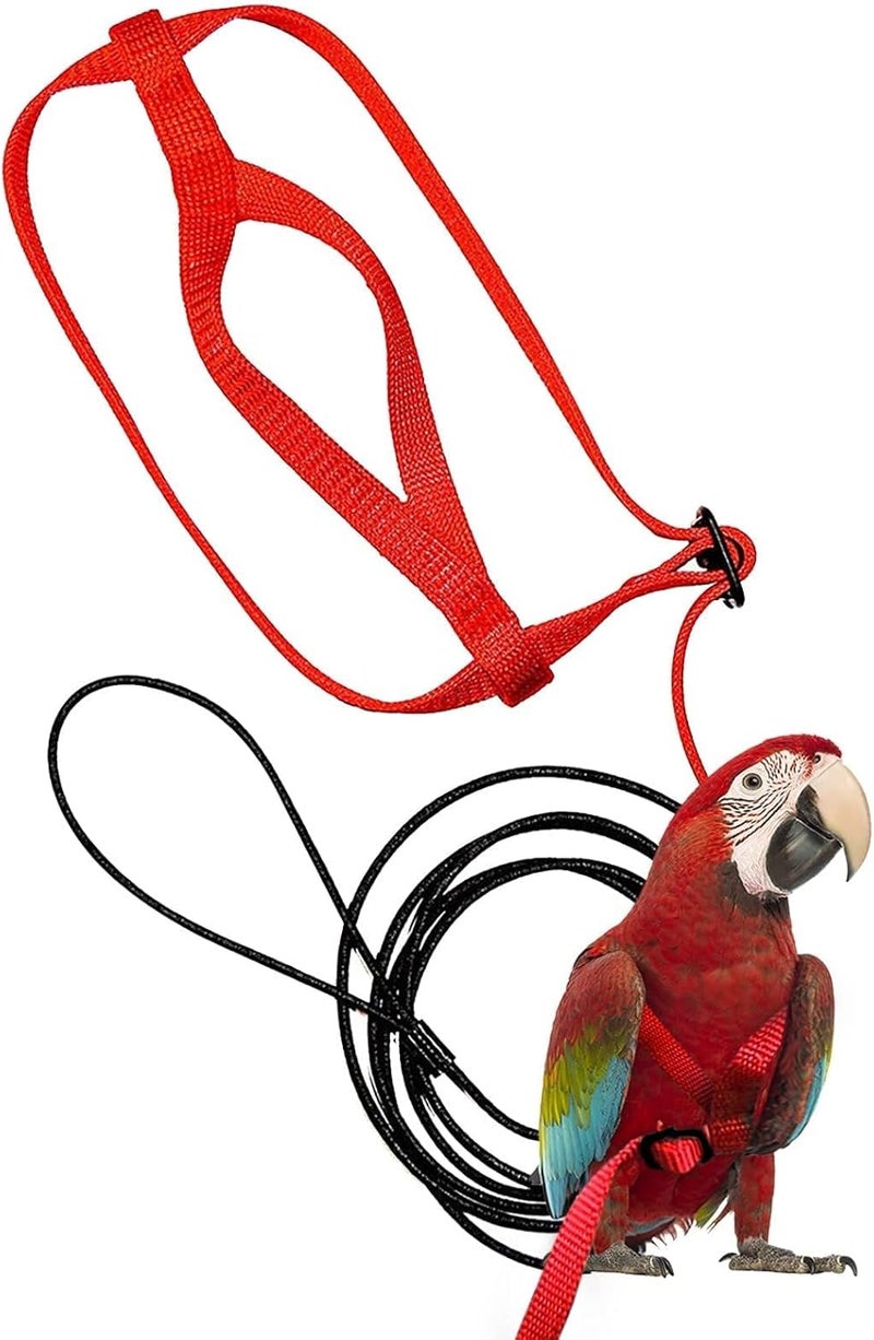 Bukela Pet Bird Leash, Adjustable Parrot Training  Flight Harness Leash, Bird Harness for Outdoor Walking to Carry Birds and Poultry, Suitable for Parrots Alexandrine, Scarlet, Keck, Mini Macaw - Image 1