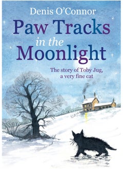Paw Tracks in the Moonlight
