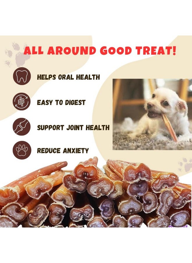 Amazing Dog Treats Amazing Dog Treats - Medium Size Bully Sticks (15 Pcs/Pack) - Long Lasting Bully Sticks for Small to Medium Dogs  - Image 4