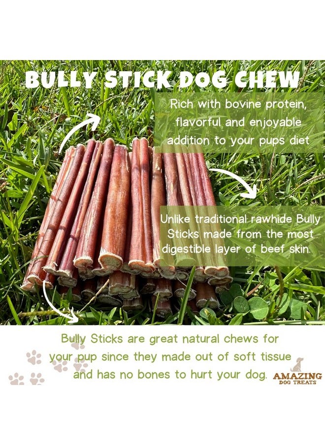 Amazing Dog Treats Amazing Dog Treats - Medium Size Bully Sticks (15 Pcs/Pack) - Long Lasting Bully Sticks for Small to Medium Dogs  - Image 3