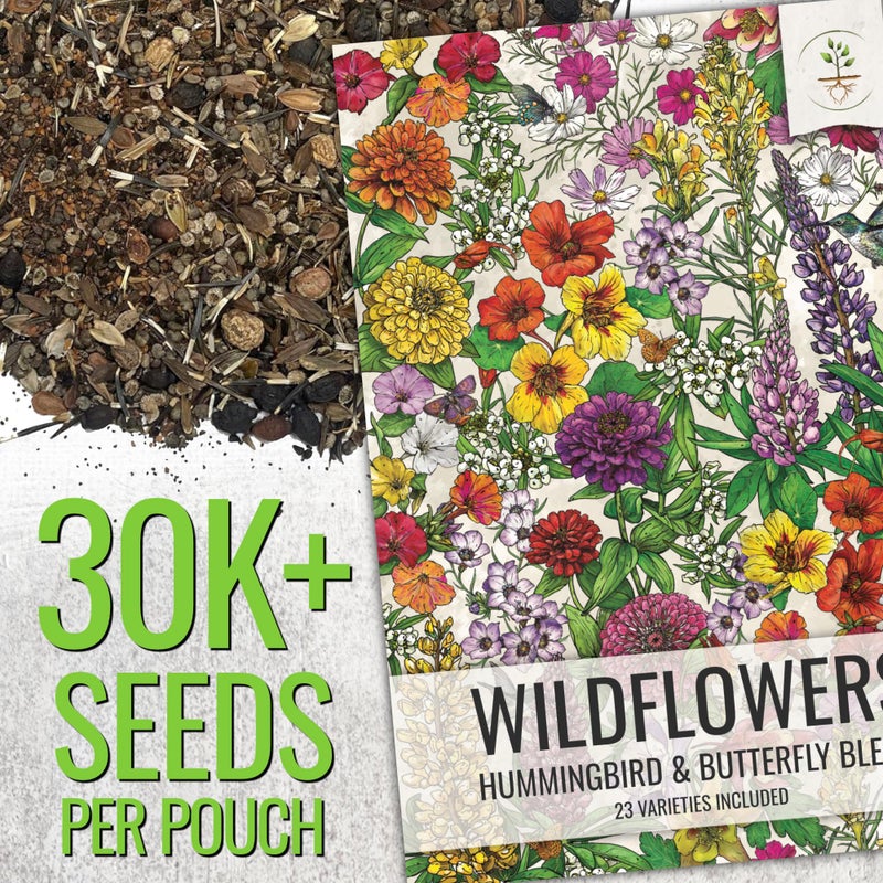 Seed Needs حزمة كبيرة 2 أونصة من 30,000+ بذور زهور الطيور الطنانة والفراشات لزراعة الزهور البرية (99% بذور حية نقية - بدون مواد حشو) 20+ نوع، سنوية ودائمة - بالجملة - Image 2